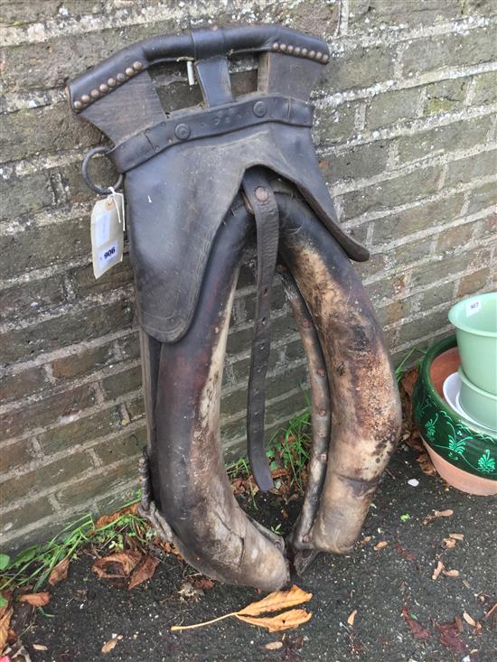 Old leather horse harness